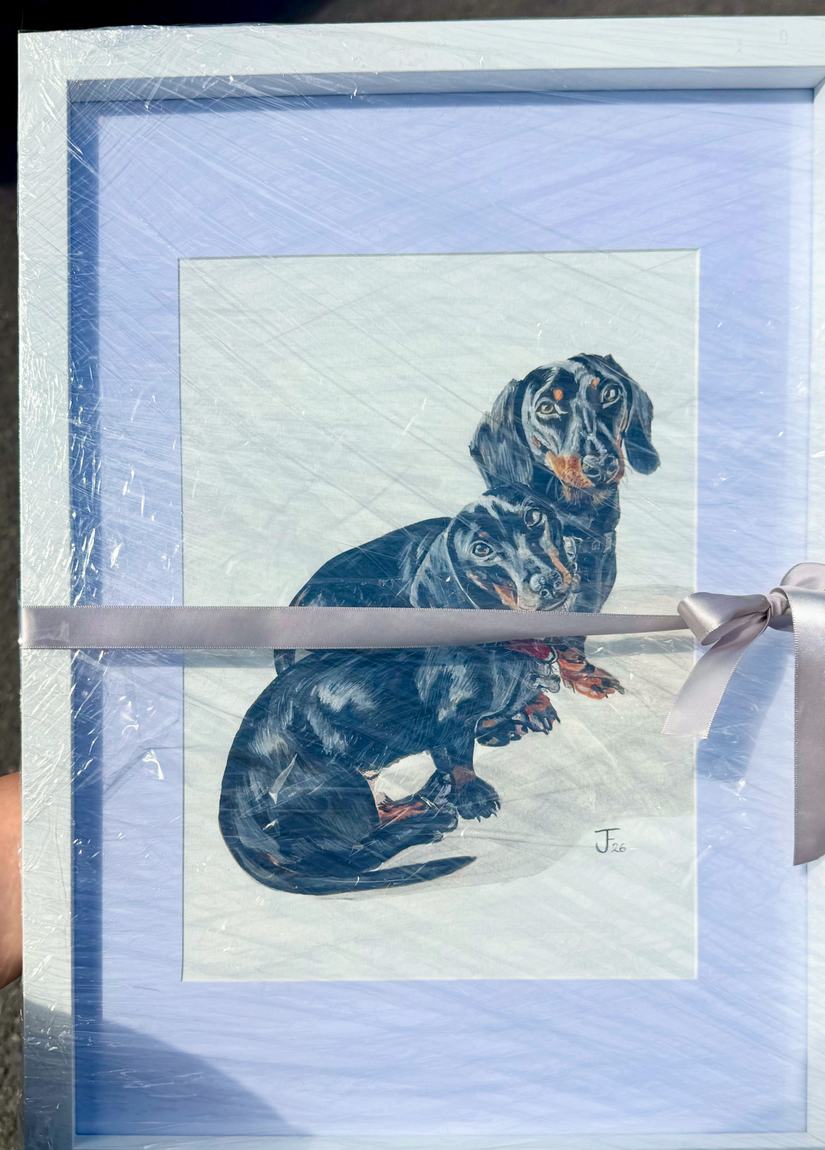 A framed dachshund portrait wrapped in clear film and tied with a silver ribbon, ready to be given