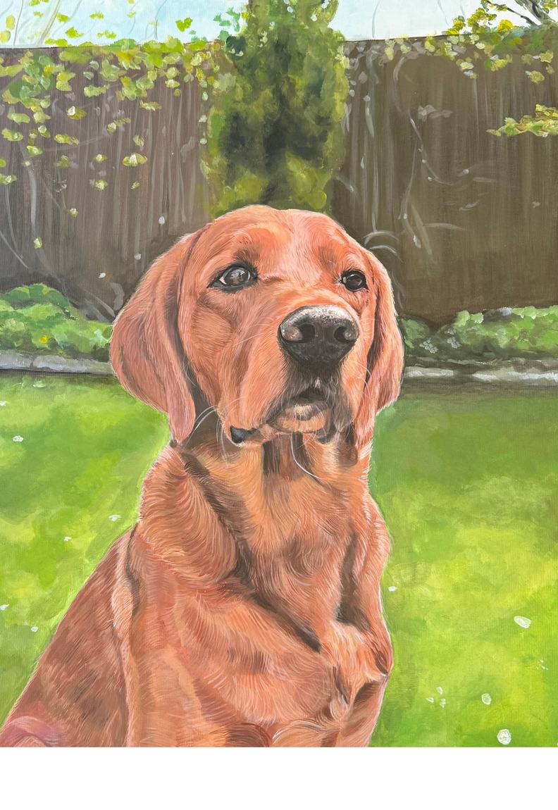 Painted portrait of a fox red labrador sitting on a lawn in front of a garden fence