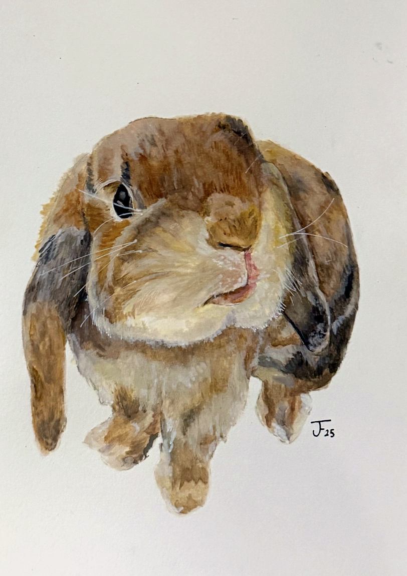 Watercolour portrait of a sandy brown lop-eared rabbit looking up at the viewer